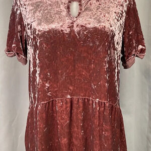 Altar'd State Pink Velvet‎ Blouse